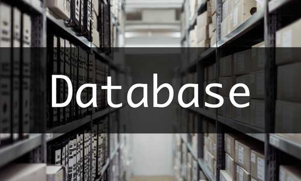 cs50x database header